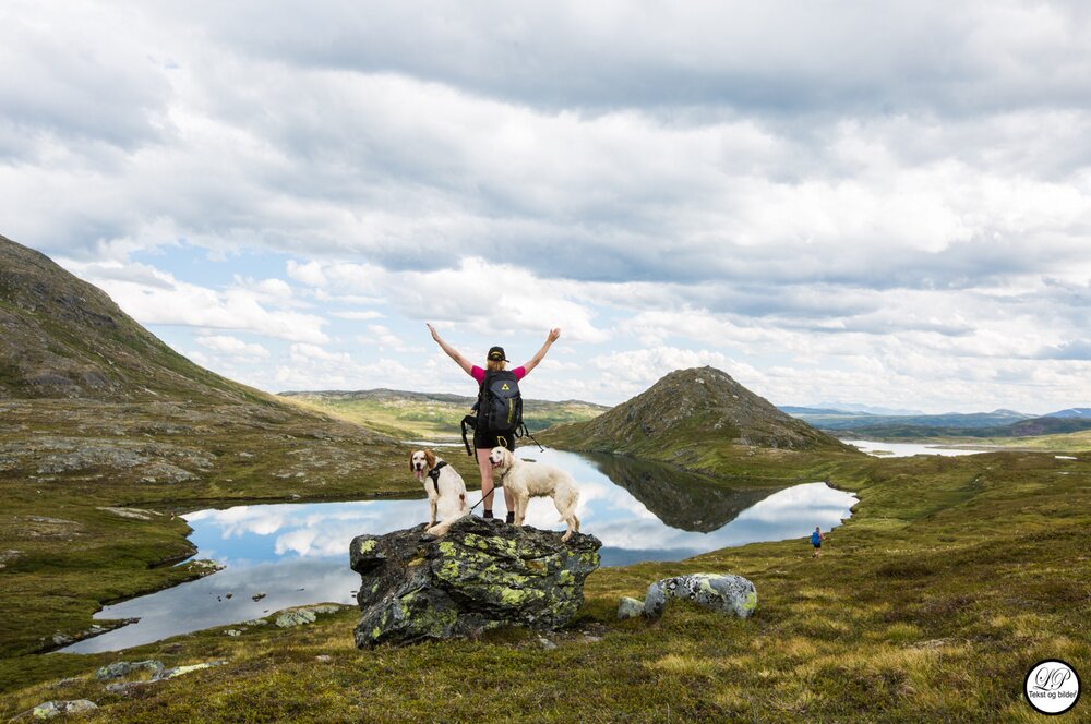 Nord-Trøndelag Turistforening