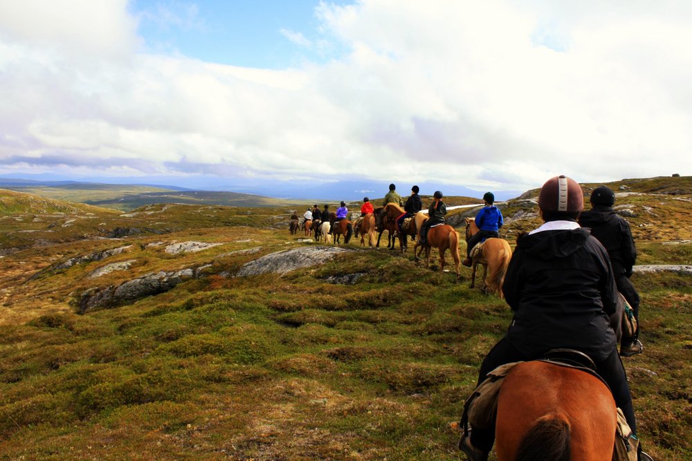 Meråkerfjell Ridesenter